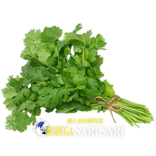 パクチー 100g - CULANTRO - COENTRO