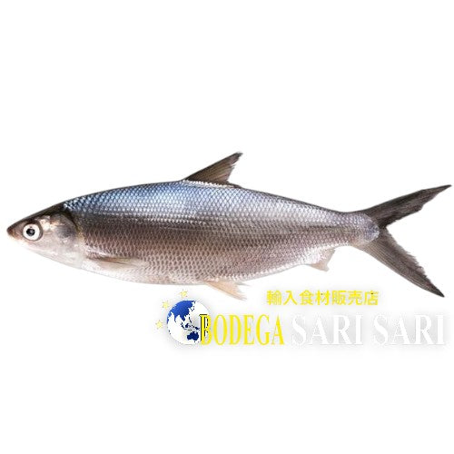 FRESH BANGUS 500g-700g  - ミルクフィッシュ バンガス魚 バゴス - milk fish