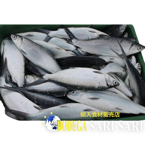 Bangus (L) 500-600 g x 10 piezas - Juego de 10 piezas de pez lácteo