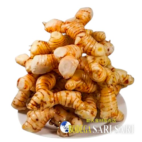 GALANGAL 500g - ガランガル