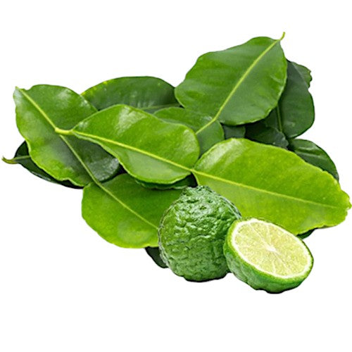 LIME LEAF 100g - バイマックル ライムリーフ - Daun Limau