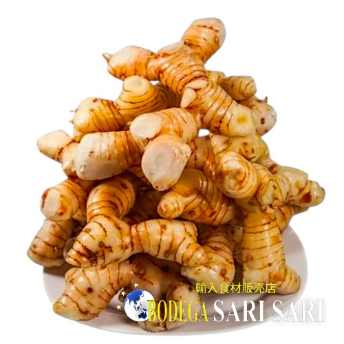 GALANGAL 500g - カー　ガランガル　タイ生姜　ガランガー